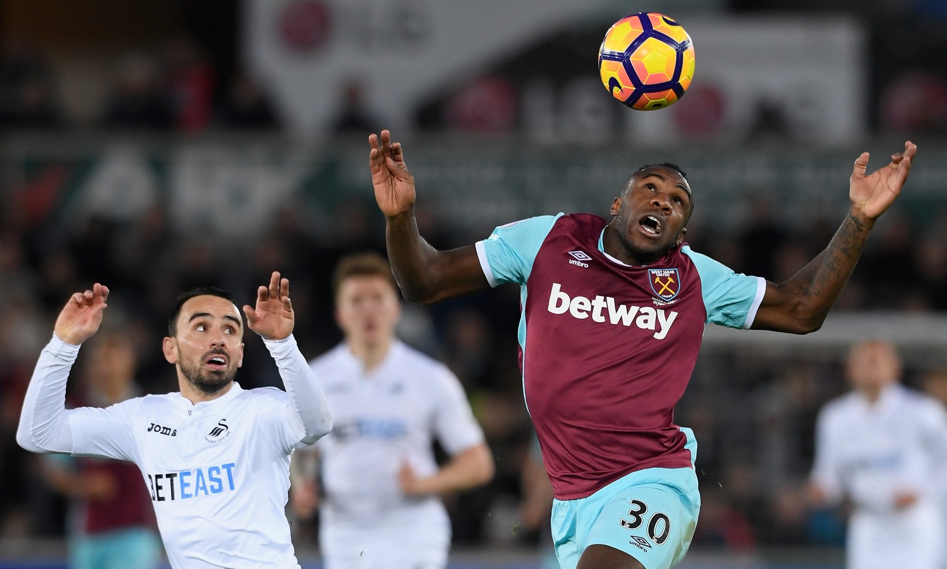 了他们不仅 了他们不仅